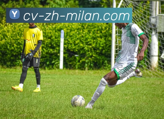 米兰体育平台生态图